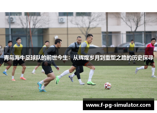 青岛海牛足球队的前世今生：从辉煌岁月到重塑之路的历史探寻
