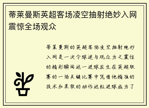 蒂莱曼斯英超客场凌空抽射绝妙入网震惊全场观众